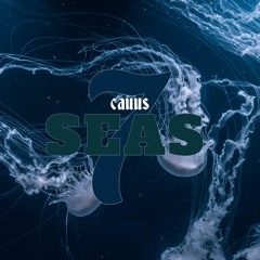7 Seas