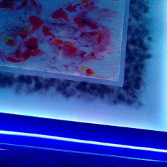 digital fish world 2