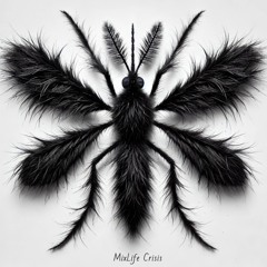 MixLife Crisis: Oct 2024