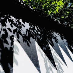 渡月