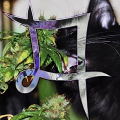 sKI*N999melike🍳88‰