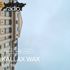 Kallax Wax 009