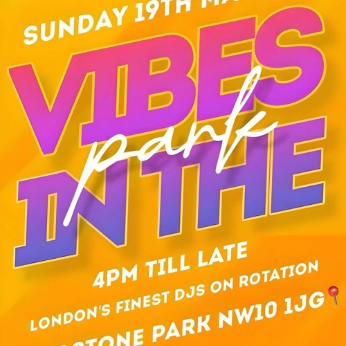 VIBES IN THE PARK 2024 MIXED BY DJ FLASH HOSTED BY DJ BENNZ - LIVE AUDIO