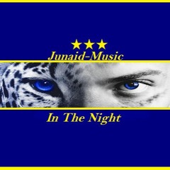 Junaid-In The Night[[★★★]]