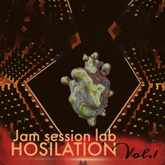 Hosilation vol. 1 ( “Electrip” jam session lab / Nikola Tesla tribute )