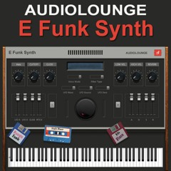 E Funk Synth,Fret Affair, AL D2  Demo by Urs Wiesendanger