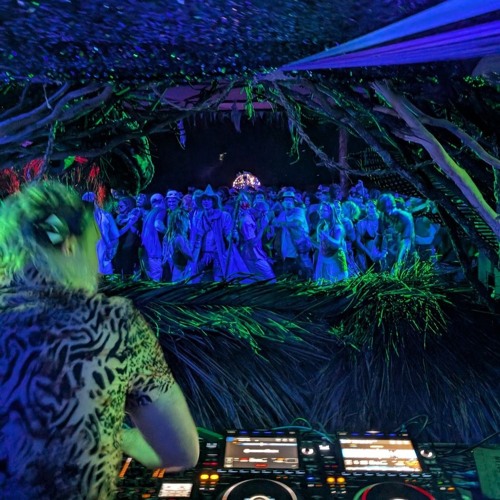 Mushroom Valley 2024