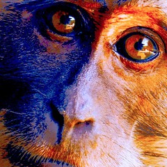 S2S Jamns 2026 - Day 13