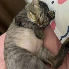 Full House - Kchuong