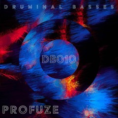 DB010 - PROFUZE