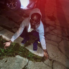 fwaee freestyle