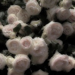 허성현 - 심야영화