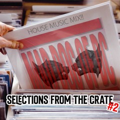 Selections From The Crate #2 - House Music Mix!