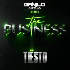 Tiesto The Bussines - Danilo Catelão Remix