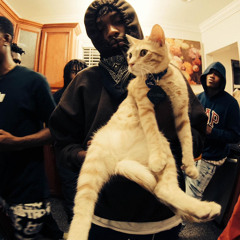 KICKED OUT THE HOOD IN POLAND -$not (throwaway)