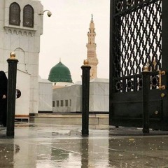 سورة الأحقاف كاملة - الشيخ أحمد بن طالب - فجريّة