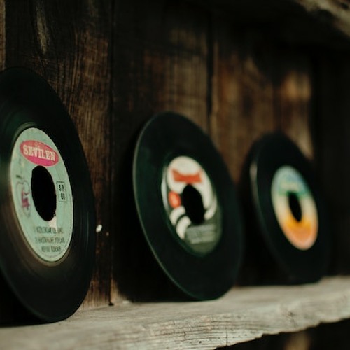 Poppies bursting into bloom in the wind and rain (2020)