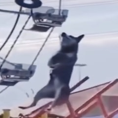 Stop that shit before we broke up