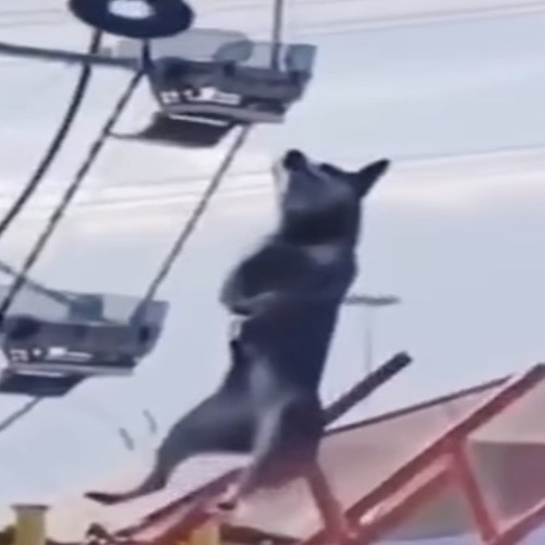 Stop that shit before we broke up