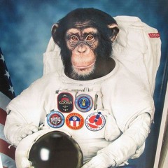 Space Monkey