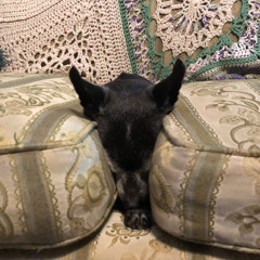 Wii shop channel but it sounds just right