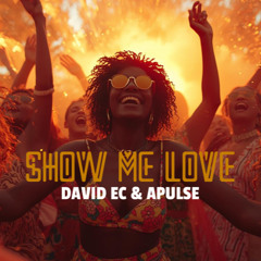 Show Me Love (David Ec & APULSE Remix) Filtered