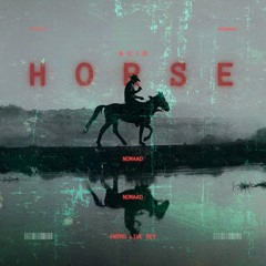 Acid Horse