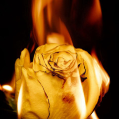 passion