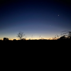 Joseph Otha Live from Driftwood 2025