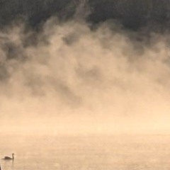 Sei la cosa migliore