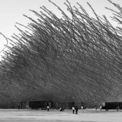 MURMURATION I - Tragi-comédie d'invasion