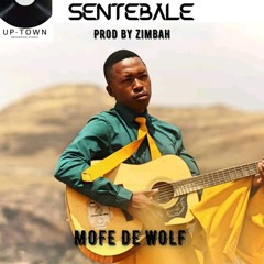 Mofe De Wolf - Sentebale