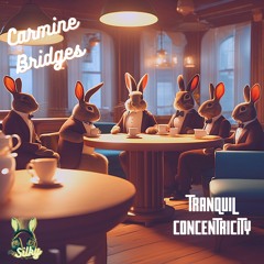 Carmine Bridges - Tranquil Concentricity (Mr Silky's LoFi Beats)