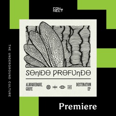 PREMIERE: GRIFE, Albuquerque - The Things We're Made Of [Sonido Profundo]