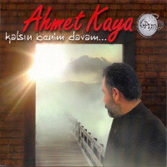 Geldim