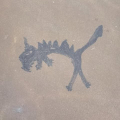 fight with the rotten monsters