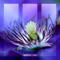 Path Of Youth - Hypnotic