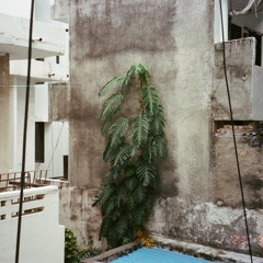 with thanks to a quiet night turning out