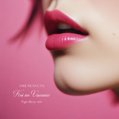 THE PEANUTS – KOI NO VACANCE (tape decay mix)