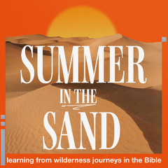 Summer in the Sand: 3 - Royal Rumble, Pastor Matt Dyck
