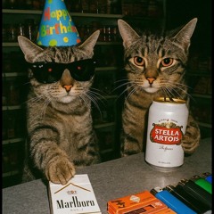 too much drugs ft. swag vert (prod. luxkk)