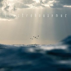 Electrohousemuz - We Spend A Lot Of Time On Not What Matters.... Number #5