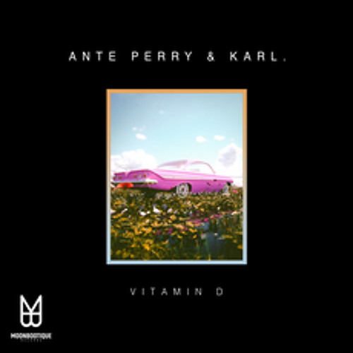 Ante Perry & Karl. - Vitamin D (Roman Adam Remix) (Moonbootique Records)