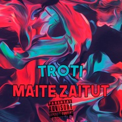 Pirritx eta Porrotx - Maite Zaitut (Troti Remix)