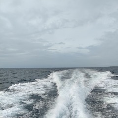 Shishe Se pee _ Cocktail Mashup _ Cover By Sujata Sharma ( 720 X 1280 ).m4a