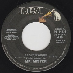 broken wingz
