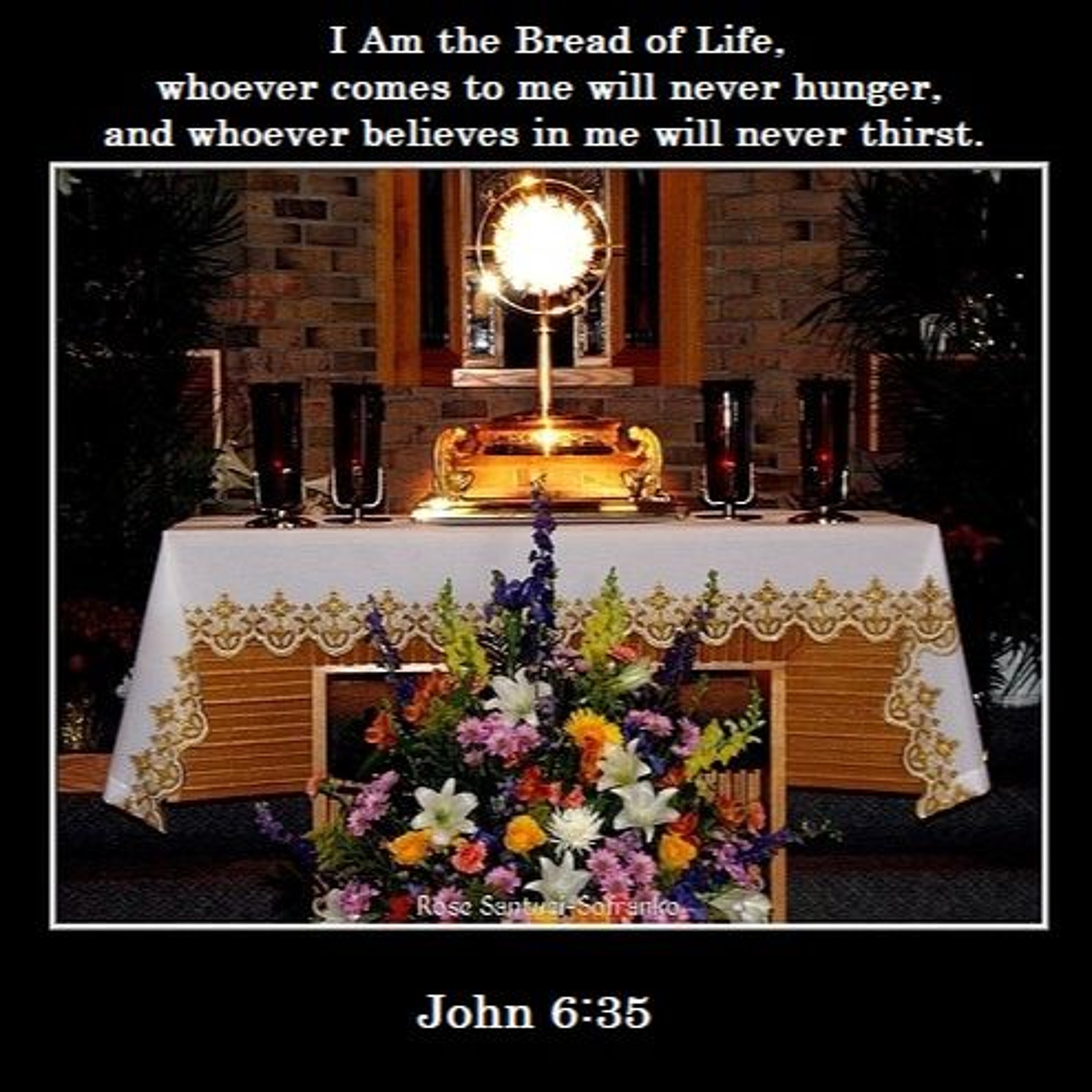 Fr. Darrick Leier Homily Podcast