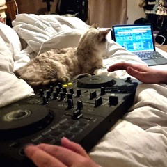 Groove Techno Set • Definition of a bedroom DJ • 160 bpm Dallaniel, szoliver, Red Scan etc