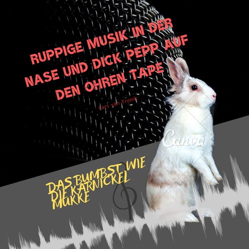 Ruppige Musik in der Nase und Dick Pepp auf den Ohren Tape. vol 01.