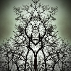 Bare Trees II